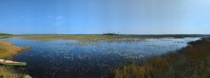 PXL_20230910_155126439.PANO.jpg