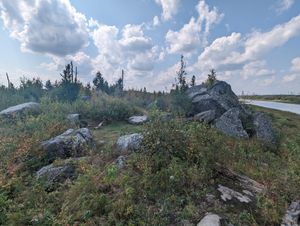 PXL_20230910_172057844.jpg