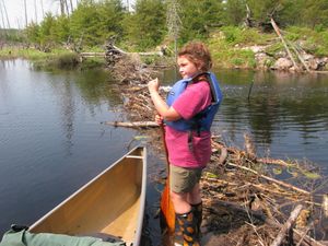 Beaver Dam