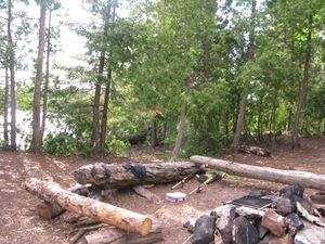 Polly Campsite