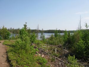 88 rod portage into Polly from South