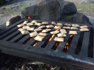 Narrow grates for biters