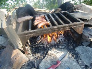 Fire grate