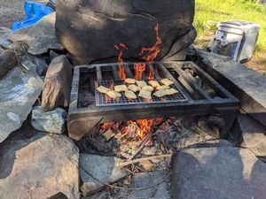 Fire Grate