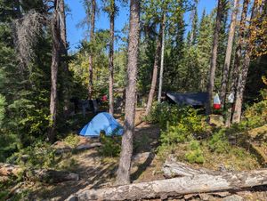 More tent pads