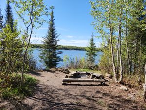Ensign site 1231