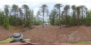Campsite 2213