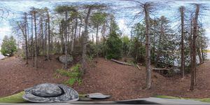 Campsite 1079