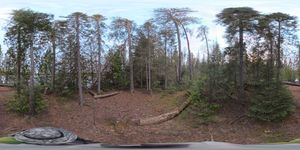 Campsite 1080