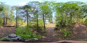 Campsite 1063