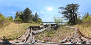 Campsite 1061