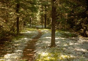 Portage, Dunstan to unnamed