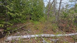 Maybe an old campsite