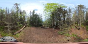 Campsite 2050