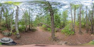 Campsite 1969