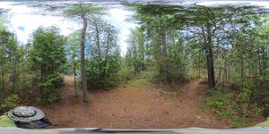Campsite 1966