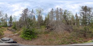 Campsite 1033