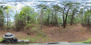 Campsite 2015