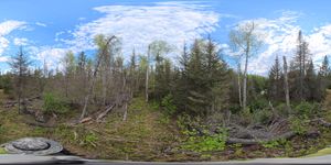 Campsite 1032