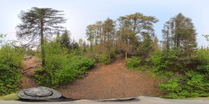 Campsite 1053