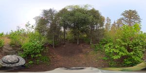 Campsite 1053