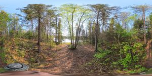 Campsite 1951