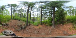 Campsite 863