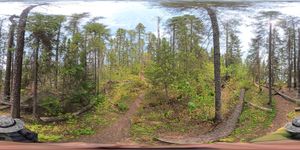 Campsite 874
