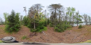 Campsite 838