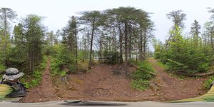 Campsite 838