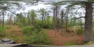 Campsite 834