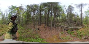 Campsite 835