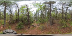 Campsite 835