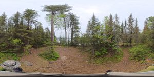 Campsite 865