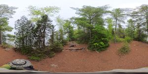 Campsite 833