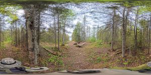 Campsite 832