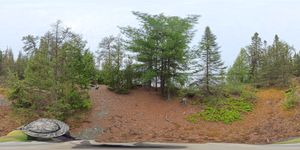 Campsite 829