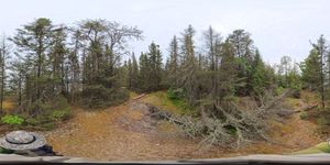 Campsite 829