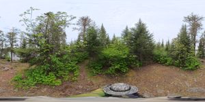 Campsite 1031