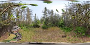 Campsite 1028