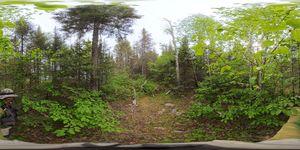 Campsite 1027