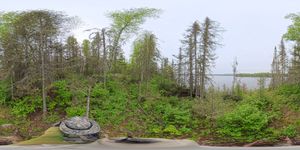 Campsite 1029