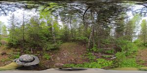 Campsite 1029