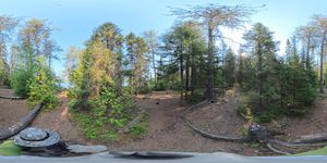 Campsite 1067
