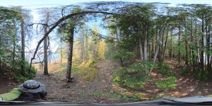 Campsite 1069