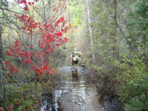 Oyster-Hustler Portage