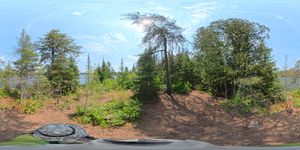 Campsite 2211