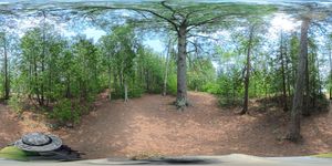 Campsite 2013