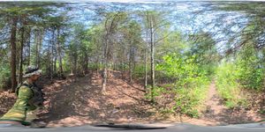 Campsite 1017