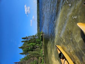 Campsite 1479